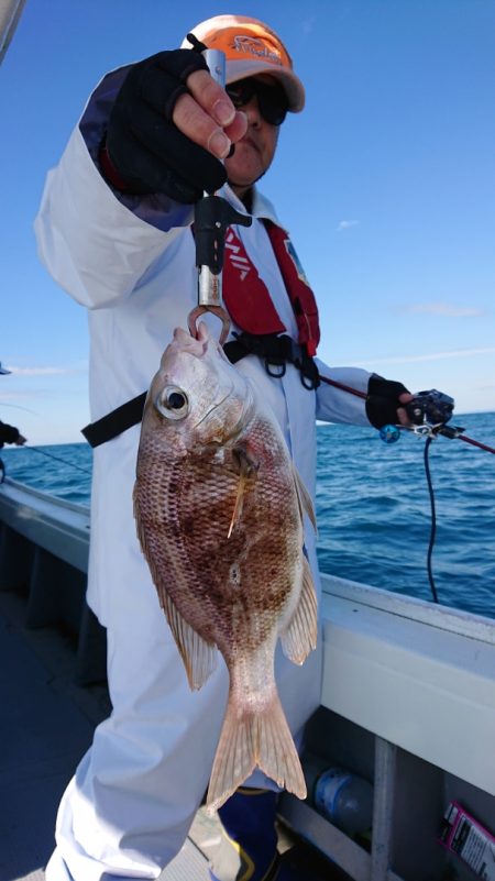 だて丸 釣果