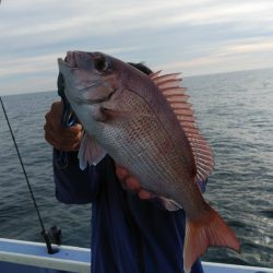 新幸丸 釣果