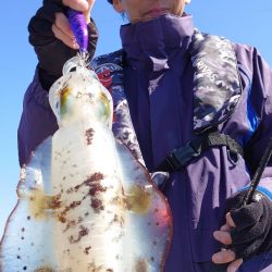 ブルースフィッシングサービス 釣果