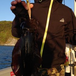 ブルースフィッシングサービス 釣果