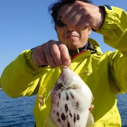 ブルースフィッシングサービス 釣果