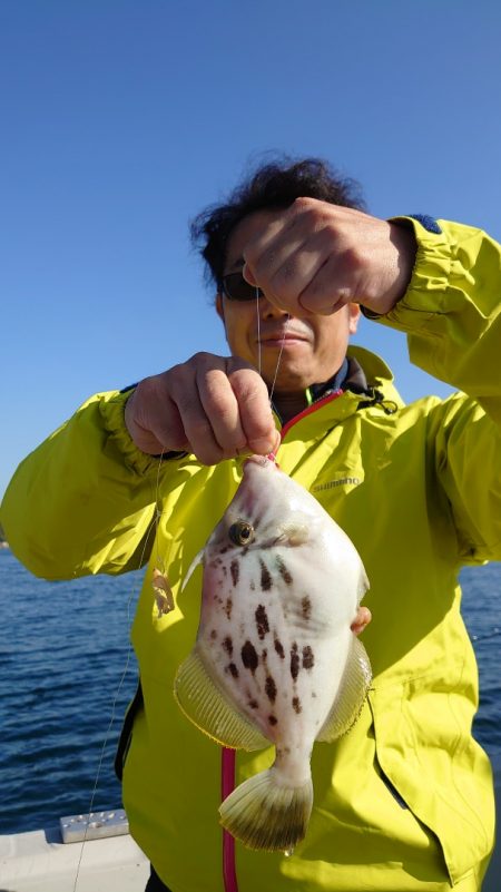 ブルースフィッシングサービス 釣果