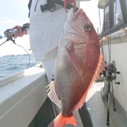 だて丸 釣果