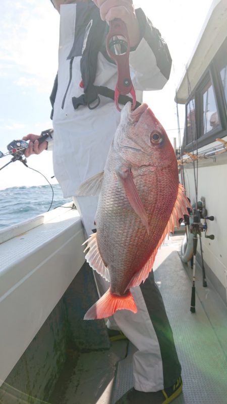 だて丸 釣果