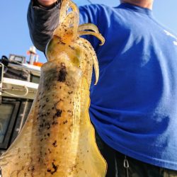 シースナイパー海龍 釣果