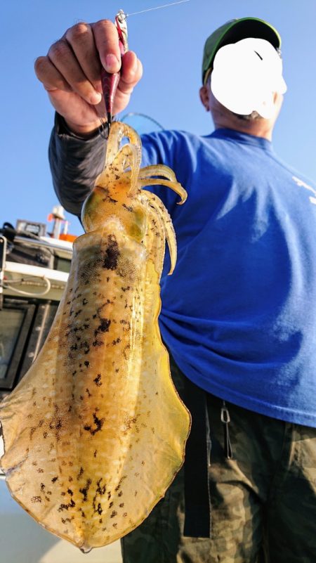 シースナイパー海龍 釣果
