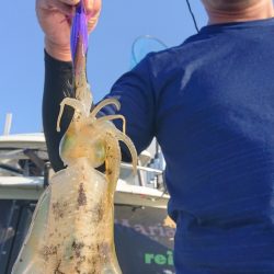 シースナイパー海龍 釣果