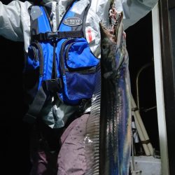 シースナイパー海龍 釣果