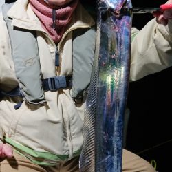 シースナイパー海龍 釣果