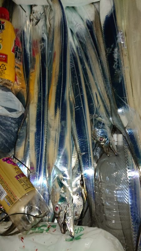 シースナイパー海龍 釣果