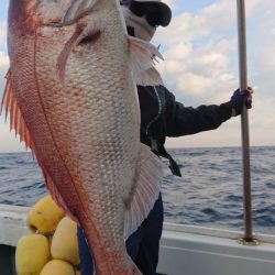 だて丸 釣果