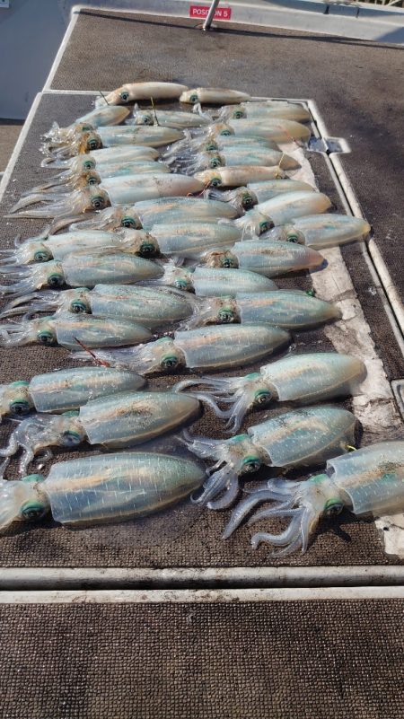 ブルースフィッシングサービス 釣果