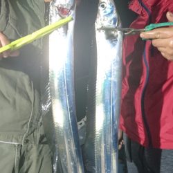 シースナイパー海龍 釣果