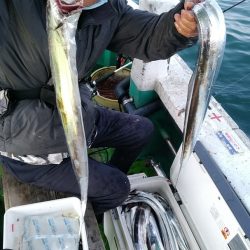 小島丸 釣果
