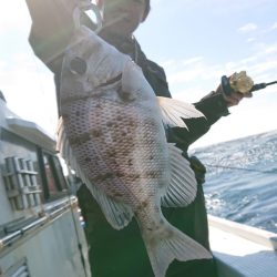 だて丸 釣果