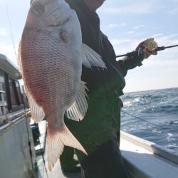 だて丸 釣果