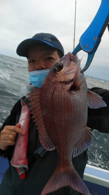 新幸丸 釣果