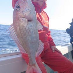 だて丸 釣果