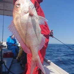 だて丸 釣果
