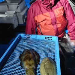 第三共栄丸 釣果