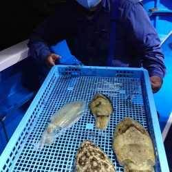 第三共栄丸 釣果