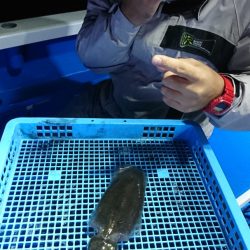 第三共栄丸 釣果