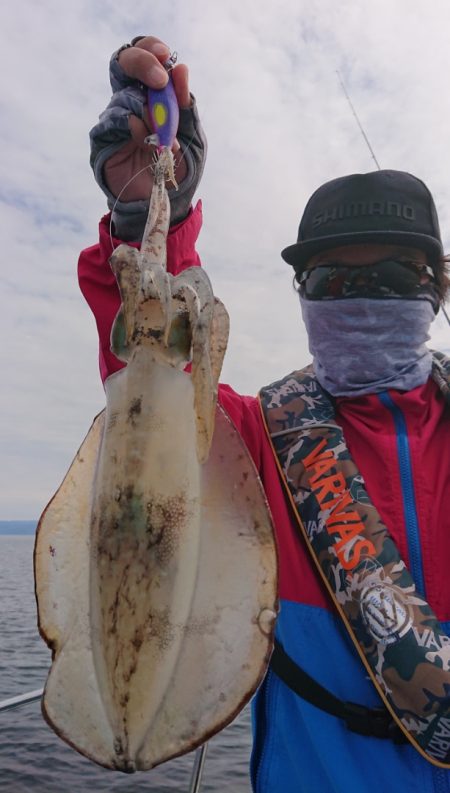 シースナイパー海龍 釣果