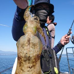 シースナイパー海龍 釣果