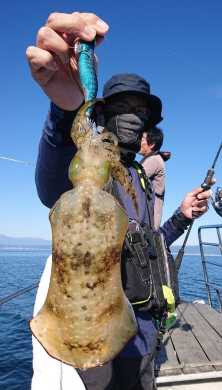 シースナイパー海龍 釣果