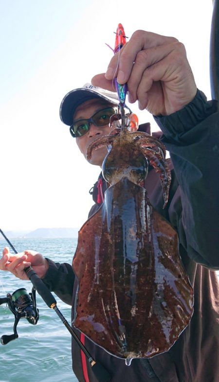 シースナイパー海龍 釣果