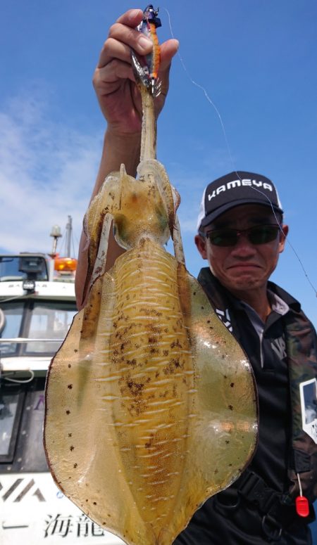 シースナイパー海龍 釣果