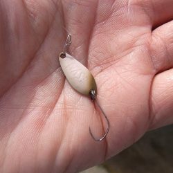 平谷湖フィッシングスポット 釣果