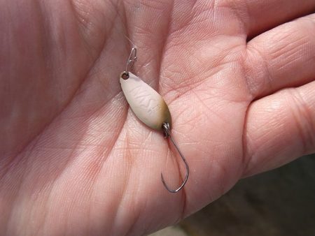 平谷湖フィッシングスポット 釣果