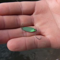 平谷湖フィッシングスポット 釣果