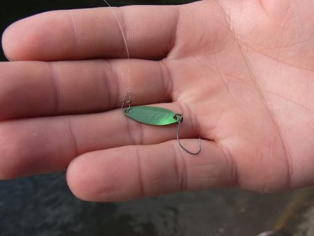 平谷湖フィッシングスポット 釣果