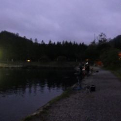 平谷湖フィッシングスポット 釣果