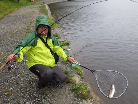 平谷湖フィッシングスポット 釣果
