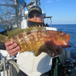 真祐丸 (しんゆうまる) 釣果