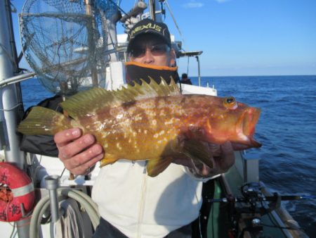 真祐丸 (しんゆうまる) 釣果