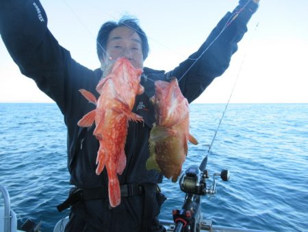 真祐丸 (しんゆうまる) 釣果