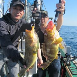 真祐丸 (しんゆうまる) 釣果