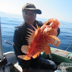 真祐丸 (しんゆうまる) 釣果