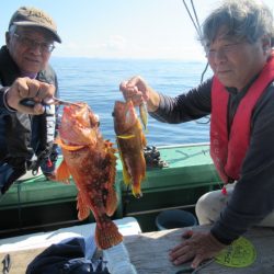 真祐丸 (しんゆうまる) 釣果