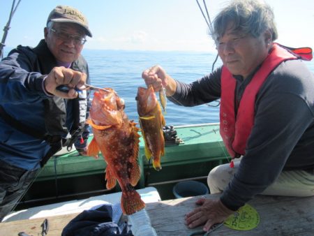 真祐丸 (しんゆうまる) 釣果