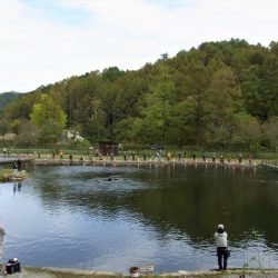 平谷湖フィッシングスポット 釣果