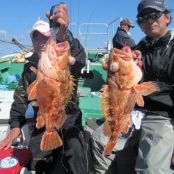 真祐丸 (しんゆうまる) 釣果