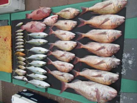 真祐丸 (しんゆうまる) 釣果