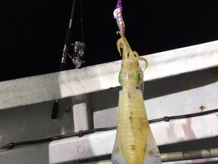 金栄丸 釣果