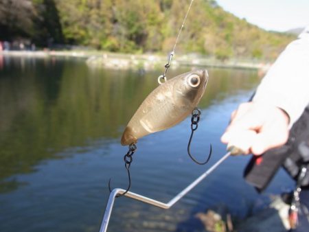 平谷湖フィッシングスポット 釣果