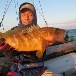 真祐丸 (しんゆうまる) 釣果